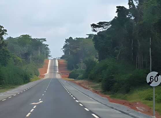 Road Design -RN2_MbujiMayi-Lshi-Bkv_opt
